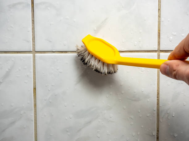 Best Mold Remediation  in Junction, TX