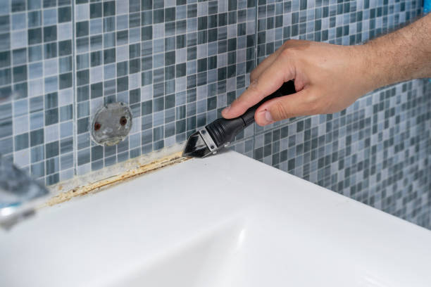 Best Office Mold Removal Services  in Junction, TX