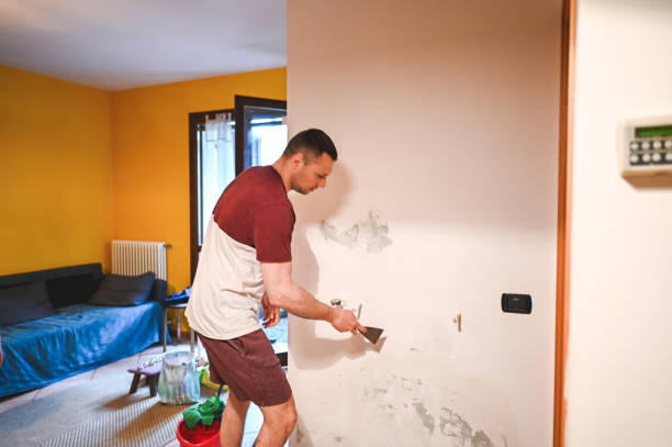 Best Emergency Mold Removal  in Junction, TX