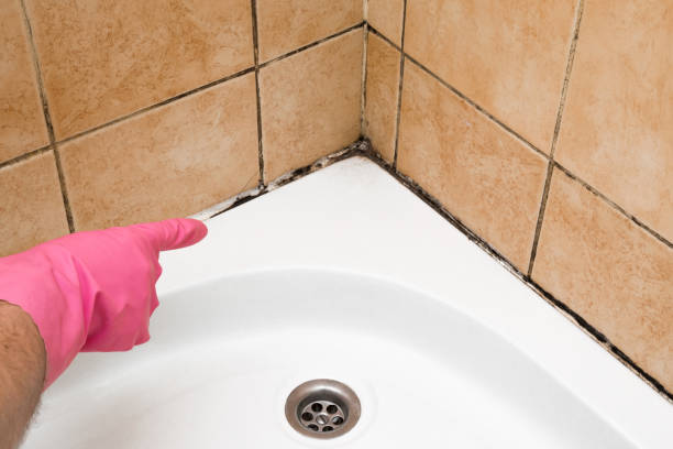 Best Residential Mold Removal  in Junction, TX